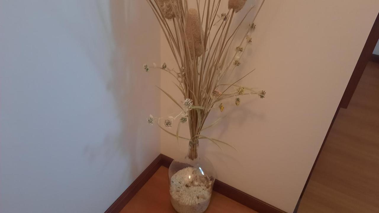 Appartamento Ana Paula House Aveiro Esterno foto